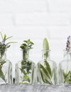 Cats and essential oils — unraveling the controversy