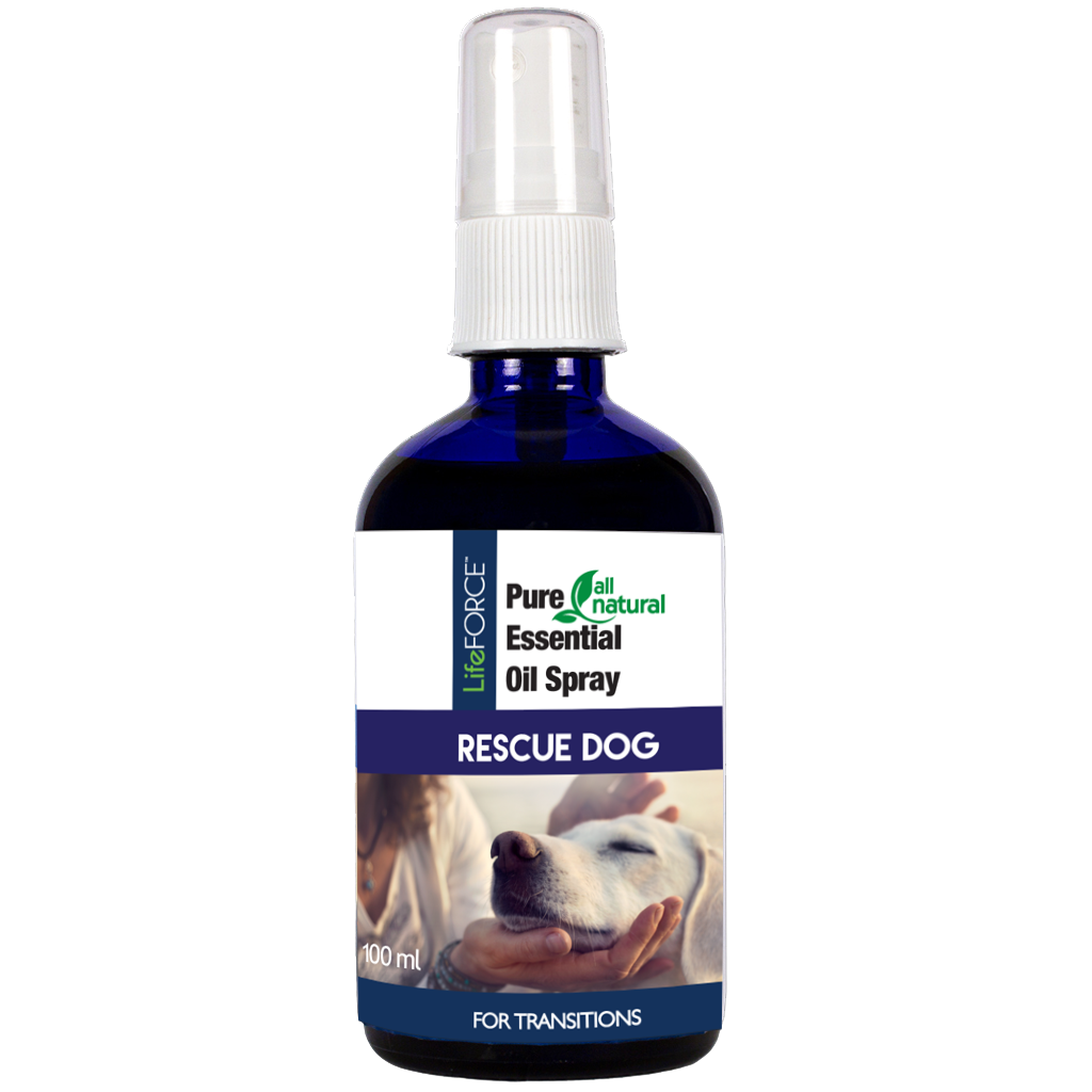 Rescue Dog Essential Oil Spray 100ml LifeFORCE Pet Health