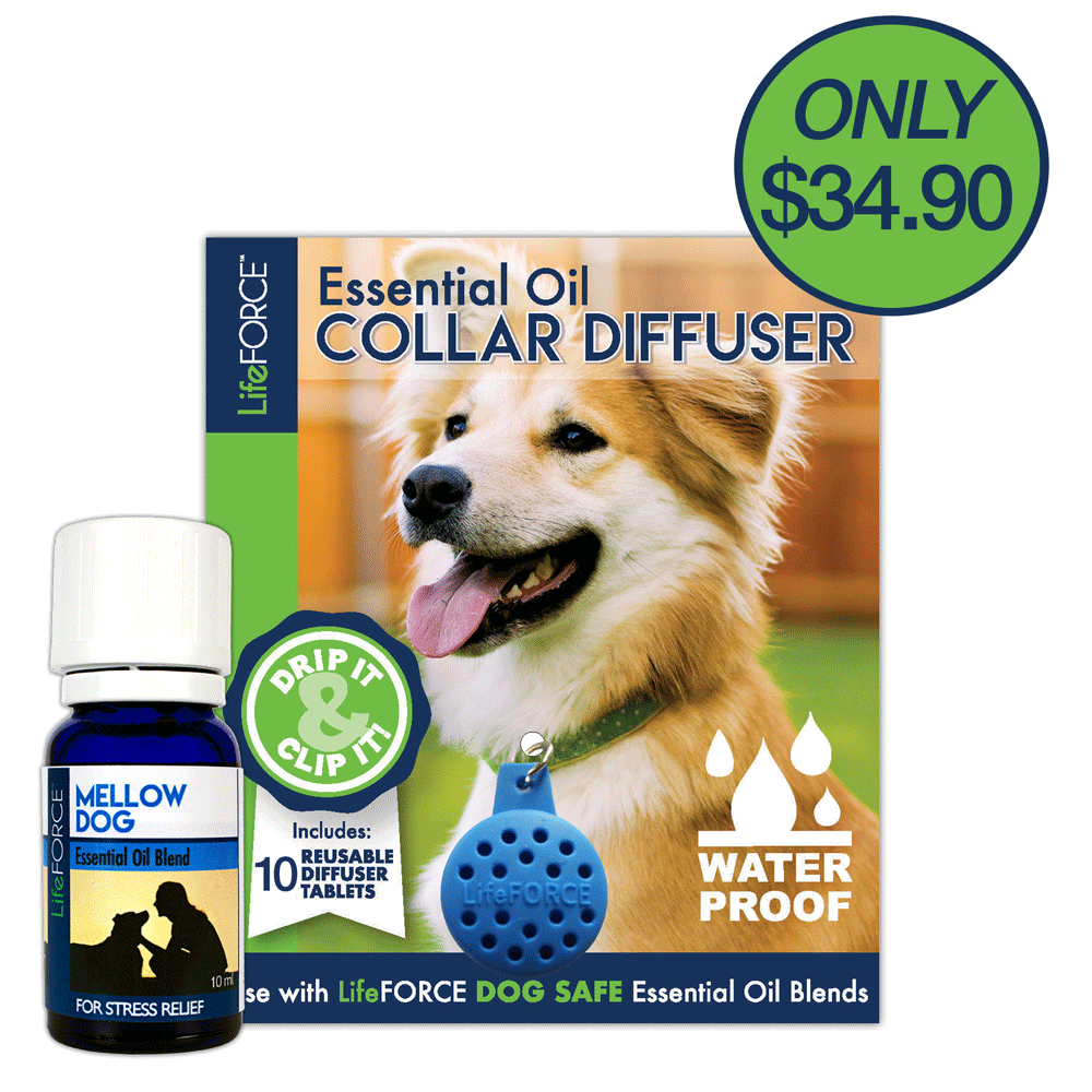 Aromatherapy Combo Pack