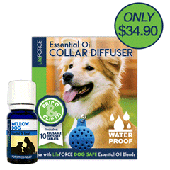 Aromatherapy Combo Pack