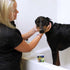 products/Dirty-Dog-Shampoo-Groomerrev.jpg