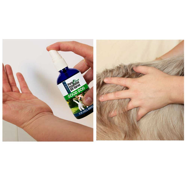 Good Dog Essential Oil Spray 100ml