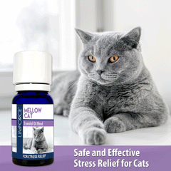 Mellow Cat Essential Oil Blend 10ml