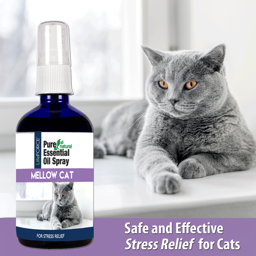 Mellow Cat Essential Oil Spray 100ml LifeFORCE Pet Health