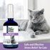 Mellow Cat Essential Oil Spray 100ml