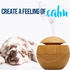 Essential Oil Diffuser