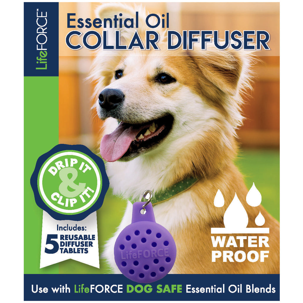 Essential oil dog collar pendant online