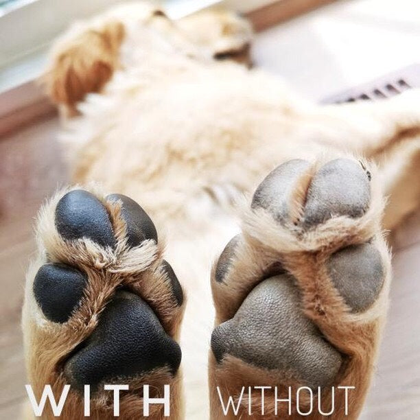 Paw Stick