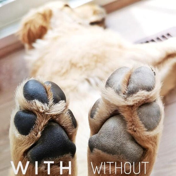 Paw Stick