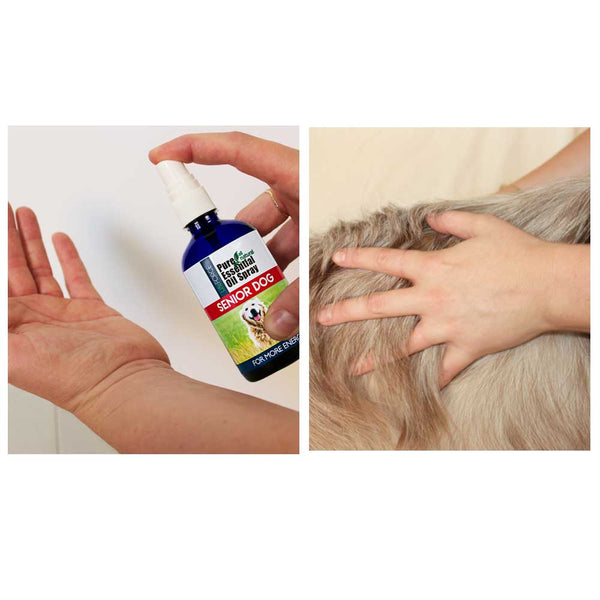 Senior Dog Essential Oil Spray 100ml