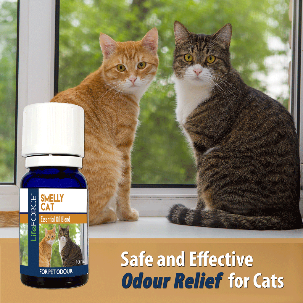 Stunning Cat Anxiety Aromatherapy Blends image