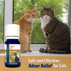 Smelly Cat Essential Oil Blend 10ml