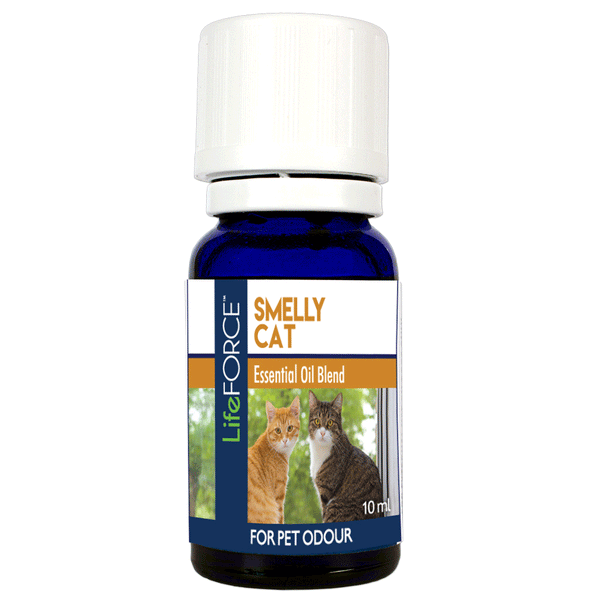 Smelly Cat Essential Oil Blend 10ml