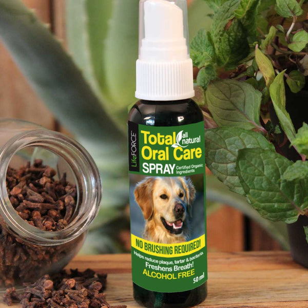 Total Oral Care Spray