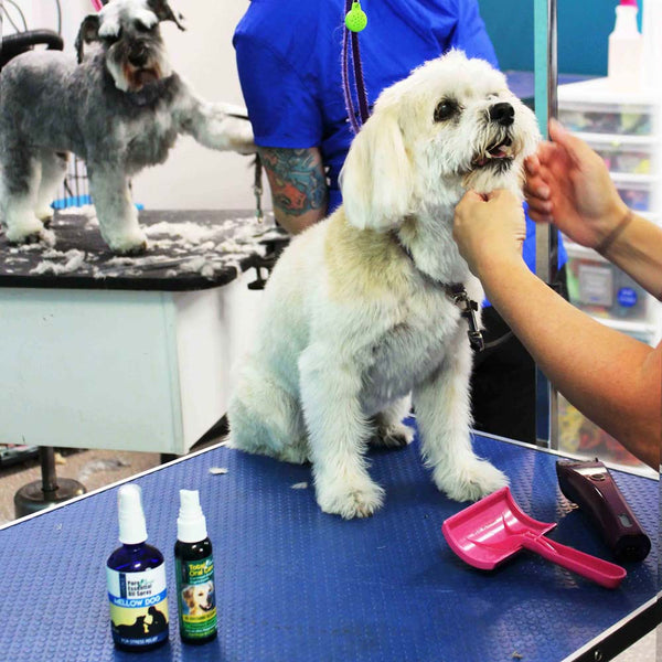 Mellow Dog Essential Oil Spray 100ml