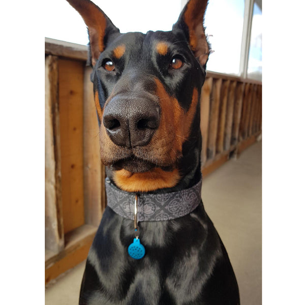 Essential Oil Collar Diffuser