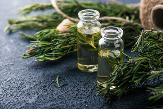 Essential oils for your dog