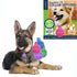 products/Dog-with-Tagrev3_c0409d50-9582-4eef-a97d-cf366a2329d7.jpg