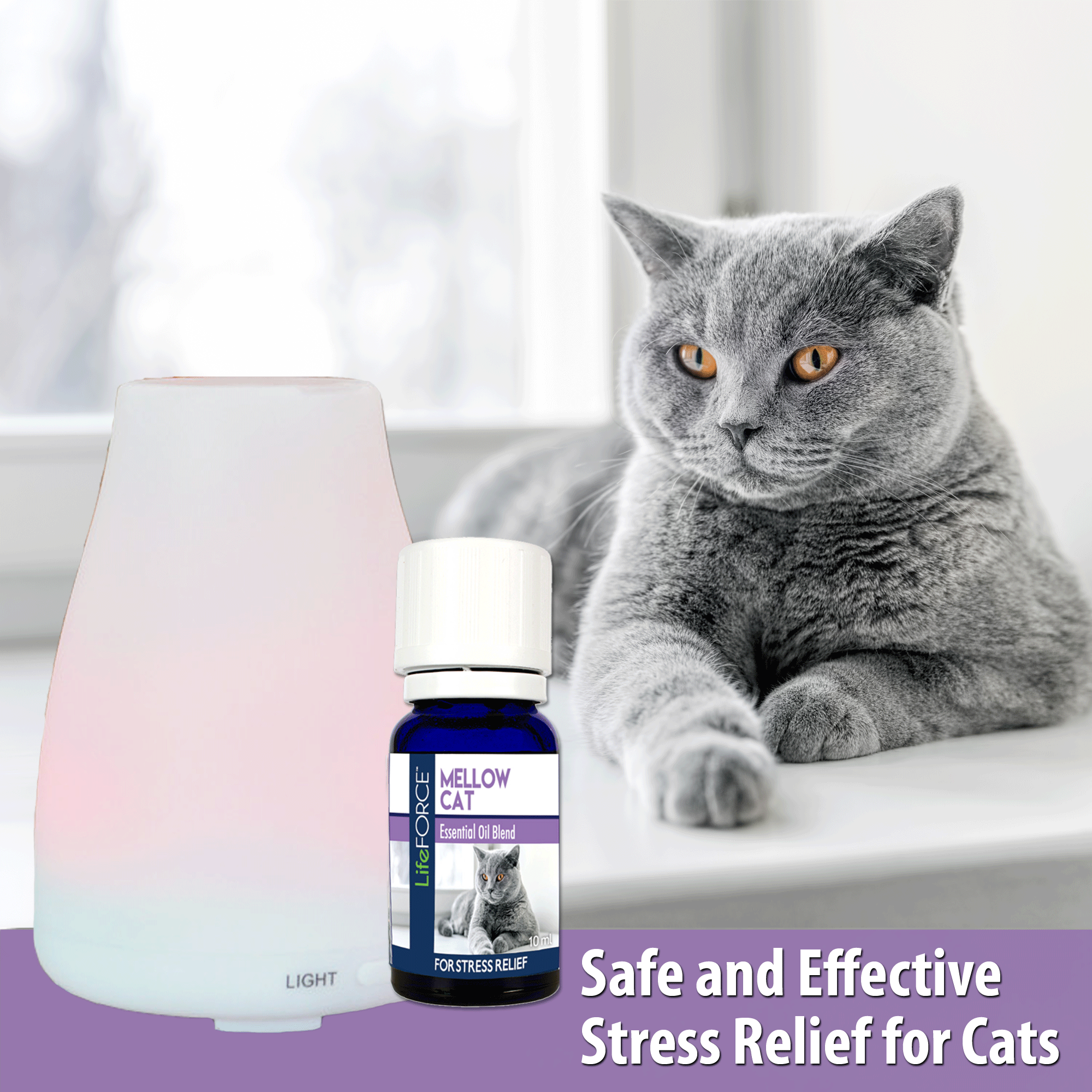 Aroma top diffuser cats