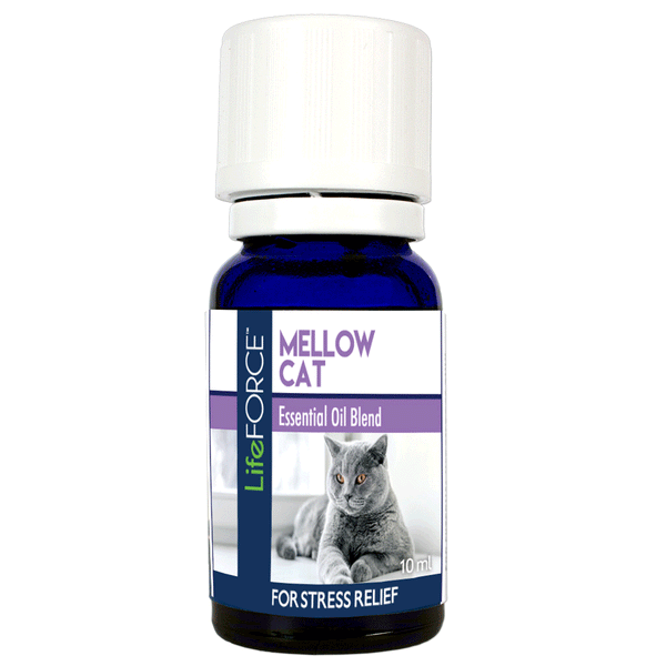 Mellow Cat Essential Oil Blend 10ml