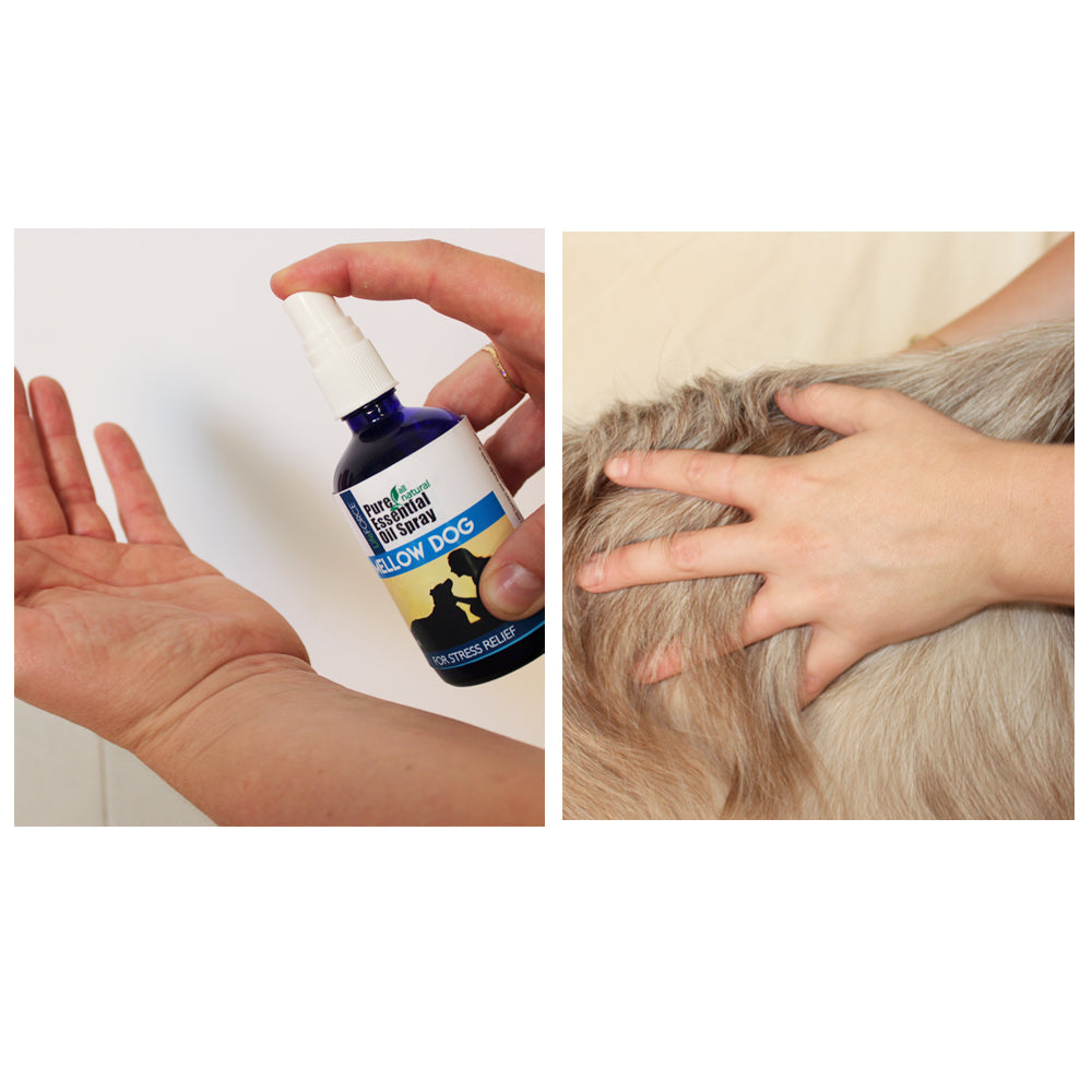 Mellow Dog Essential Oil Spray 100ml