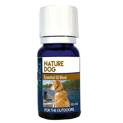 Aromatherapy Combo Pack