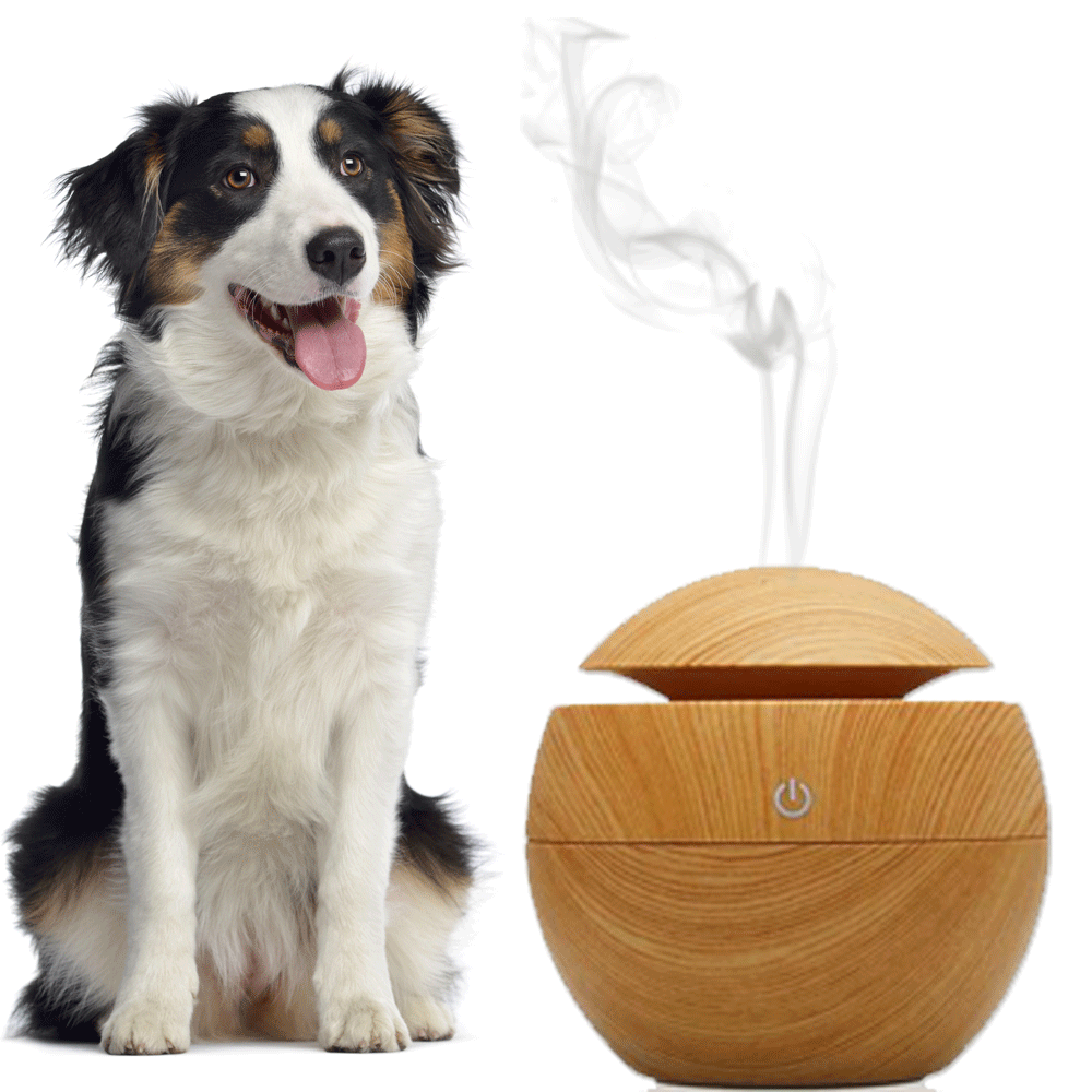 Essential Oil Diffuser LifeFORCE Pet Health