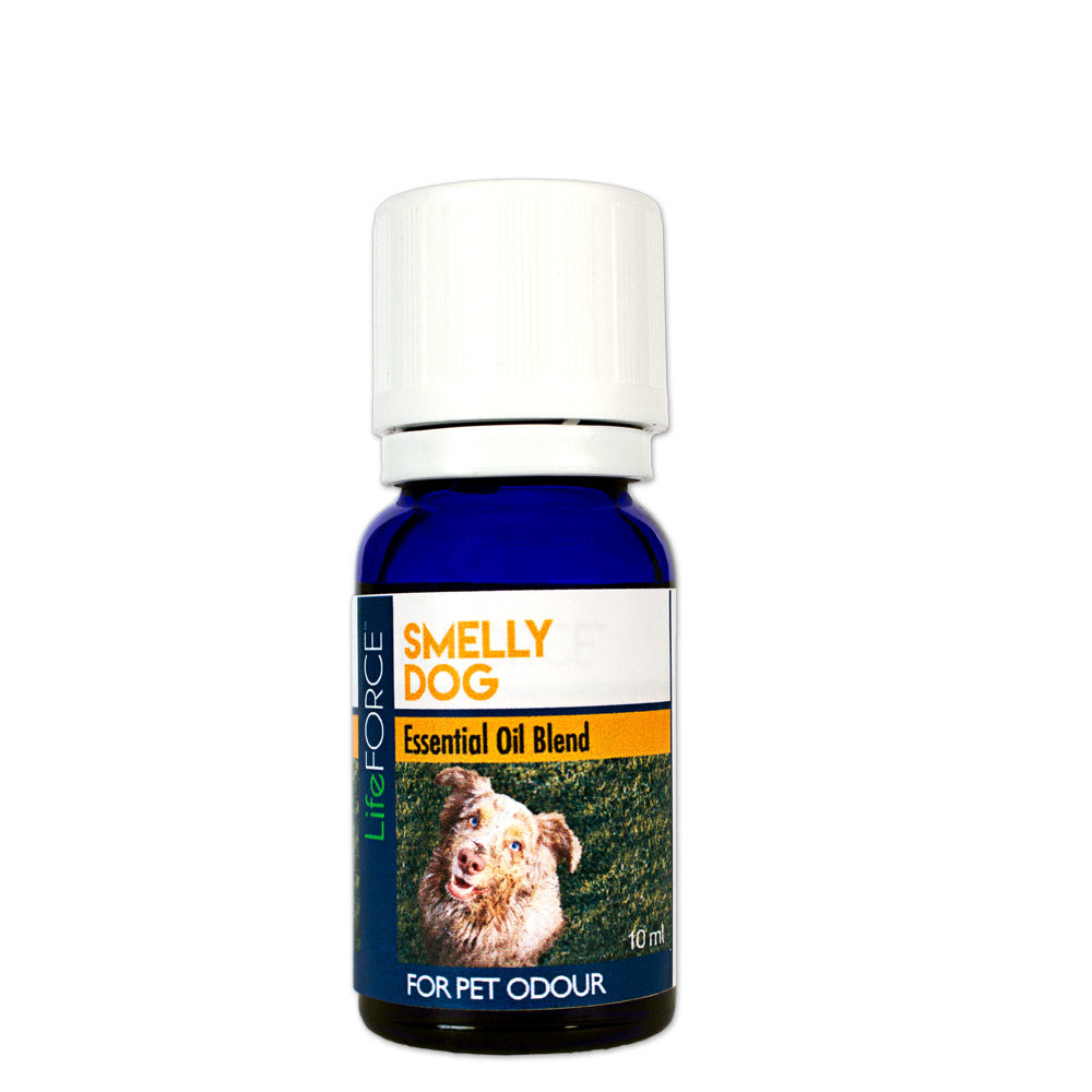 Smelly Dog Essential Oil Blend 10ml