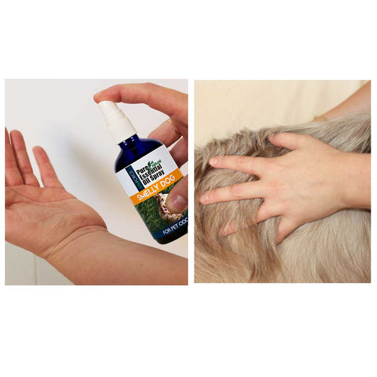 Smelly Dog Essential Oil Spray 100ml